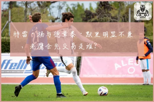 特雷·杨与德章泰·默里明显不兼容，老鹰会先交易走谁？