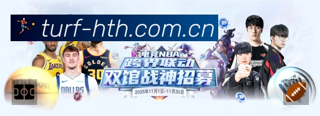 全球访问热力分布图